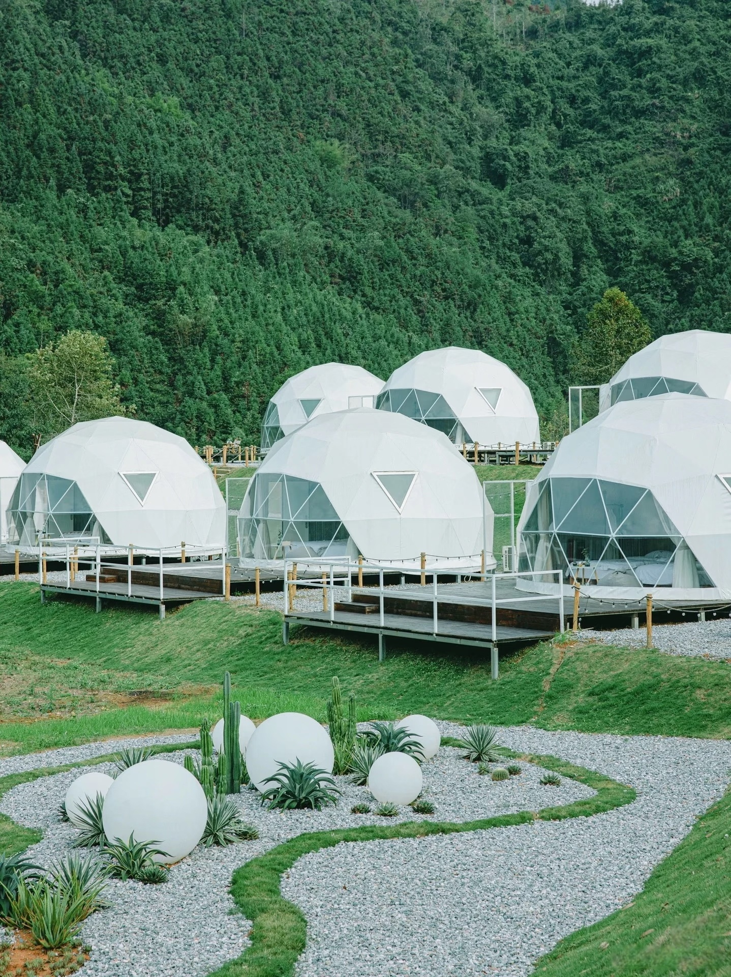 Tourist Dome Tents